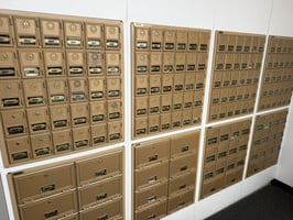 31447534