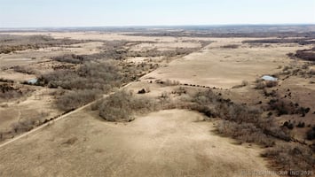 31447746
