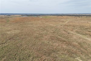 31449044