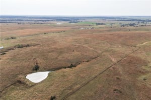 31449049