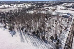 31449266