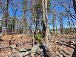 32593711