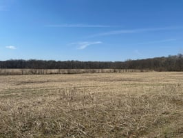 31450905