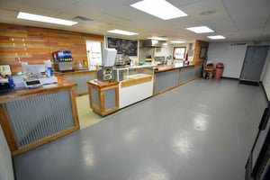 31451668
