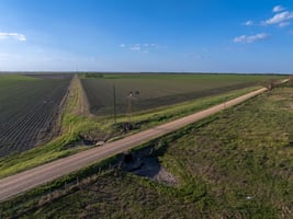 31456630