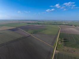 31456627