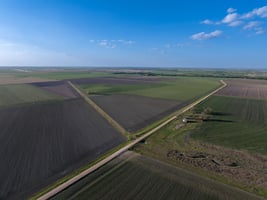 31456629