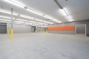 31455779