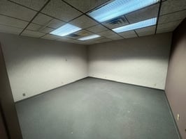 33919081