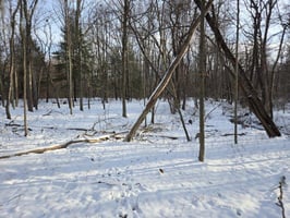 31459494
