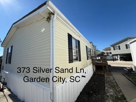 31556419