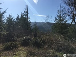 31465571