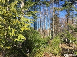31465570