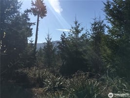 31465559