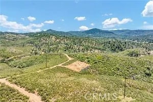 31589530