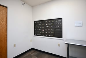 31467668