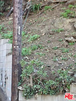 31467679