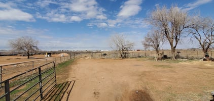 31469305