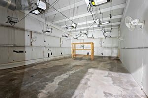 31469993