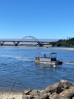 31473666