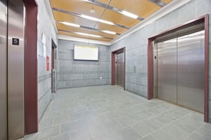 31475061