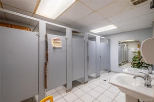 33668187