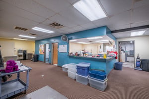 31476259