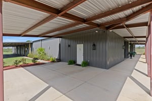 31487754