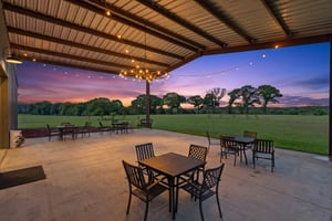 31487781