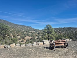 31476616