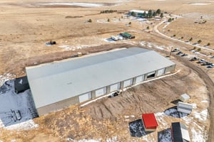 31477619