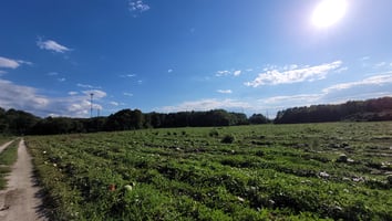 31479795