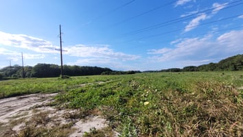 31479802