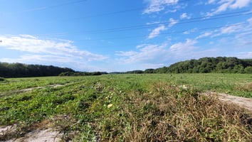 31479804