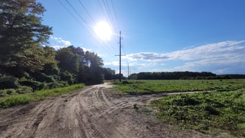 31479801