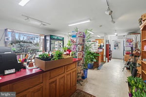 31481631