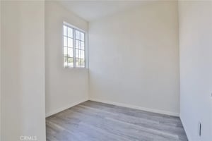 32705079