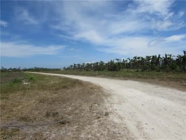31487604
