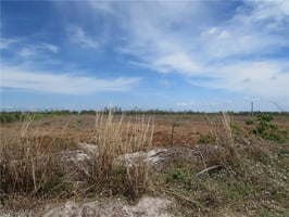 31487601