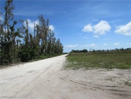 31487585