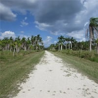 31487928
