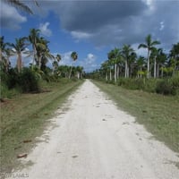 31487953