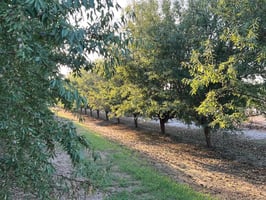 31507640