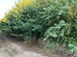 31507642