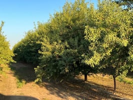 31507641