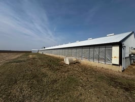 31489967