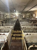 31489983