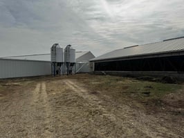 31490036