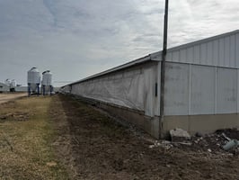 31490032