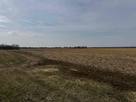 31490029